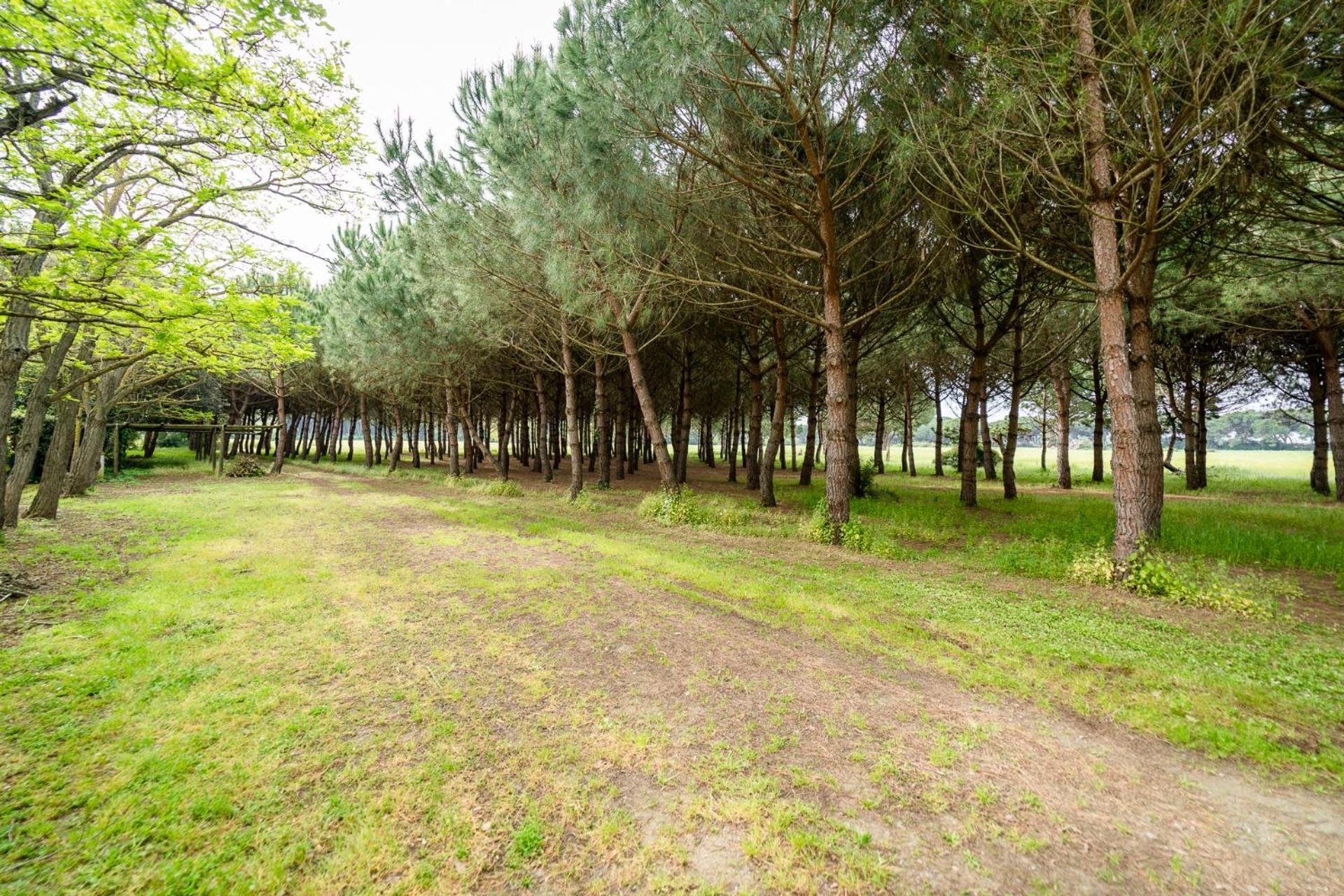 Agriturismo Bio Femminella Principina a Mare Extérieur photo